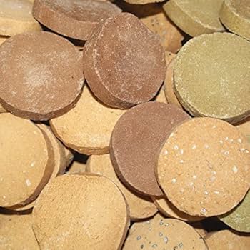 Amazon.co.jp: 豆乳おからクッキー 900g 堅焼きで食べごたえあり